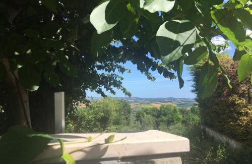 Cartoceto Bed & Breakfast | Eden Lilli B&B