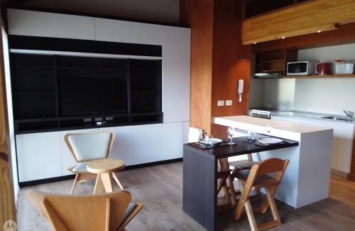 San Martin de los Andes Apartment | EDIFICIO VIVERo 3
