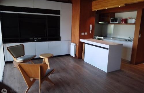 San Martin de los Andes Apartment | EDIFICIO VIVERo 3