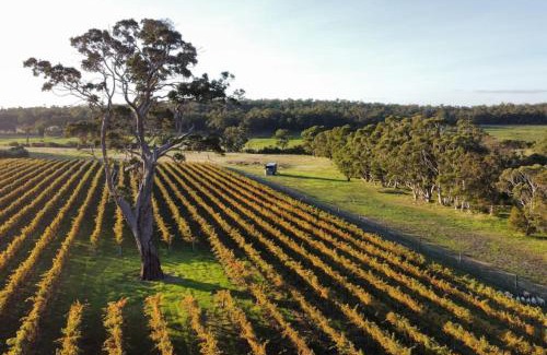 Chapman Hill Apartment | Edith the Tiny Cabin in Busselton