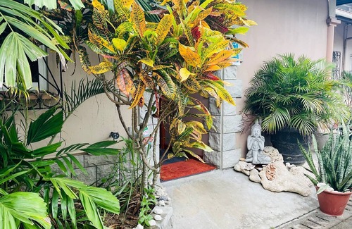Zig Zag Ward Villa | Effie’s Mountain View Villa - gecko Villa
