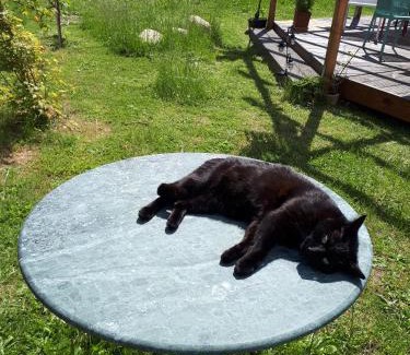 Mildenitz Apartment | ehemaliges Gutsverwalterhaus