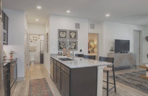 Austin Apartment | EightyOne10 2BD 3 - Two Bedroom Apartment, Sleeps 4