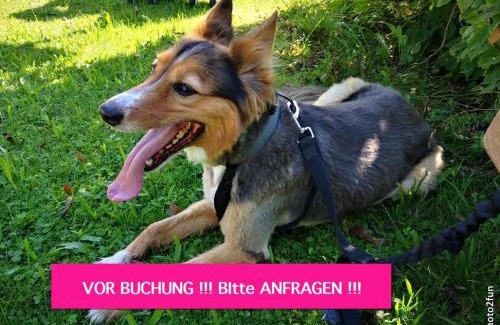 Frankweiler Apartment | einfache Monteurwohnung mit WLAN und Sat Tv, Netflix