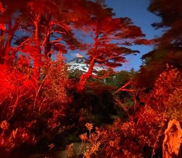 Pucon House | El Awen Domos