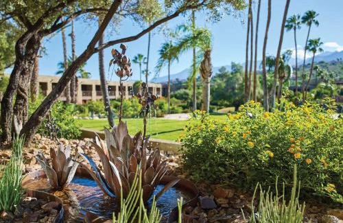 El Conquistador Resort | El Conquistador Tucson, A Hilton Resort