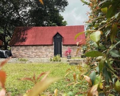 San Carlos Apartment | El descanso verde