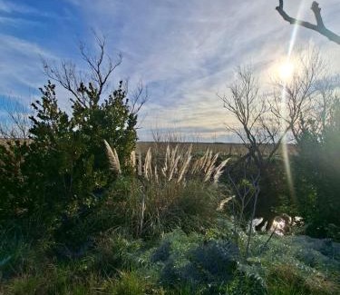 General Daniel Cerri Boat Rental | El expreso azul