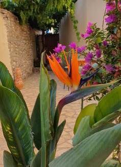 Oria House | El Jardin Secreto