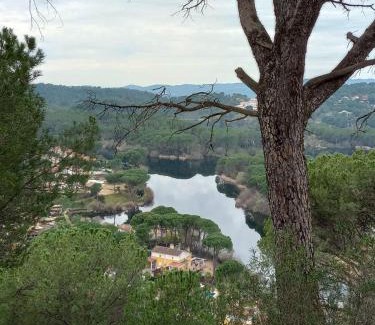 Las Jaras House | El Madroño de la Encantada
