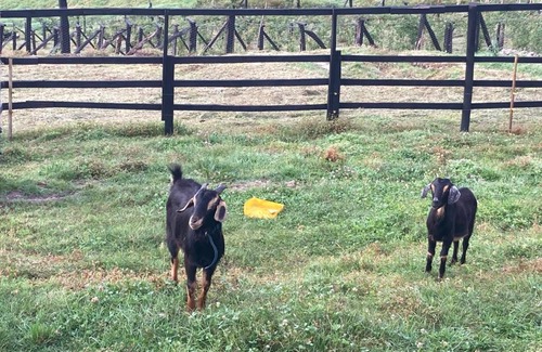 Gambita House | El Mirador De Los Andes