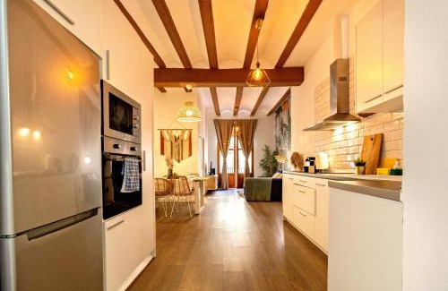 La Seu Apartment | El negrito - Housevanlive