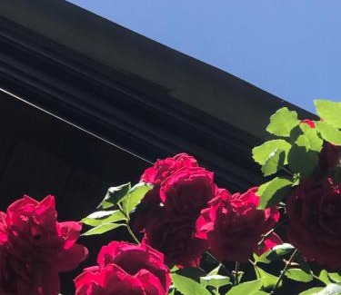 Sierra de los Padres House | EL PARAISO DEL DESCANSO