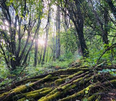 Puerto de Bejar Villa | El Rincón de Castilla