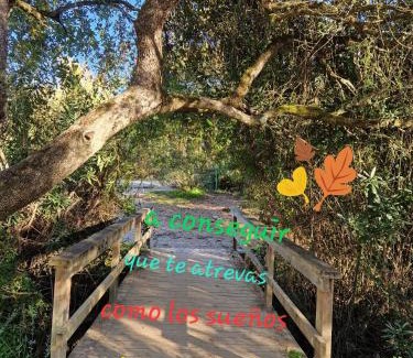 El Bosque Apartment | El Rinconcito Mágico