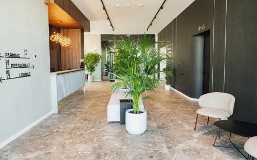 Radauti Apartment | Electra Aparthotel