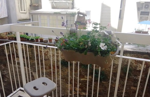 Roiano-Gretta-Barcola-Cologna-Scorcola Apartment | Elegant, comfortable, between center and sea