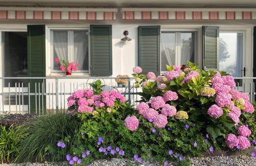 Teolo Apartment | Elegant Euganean Hills apartment with garden view