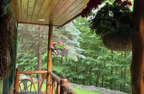 Shandaken Cabin | ELEGANT LOG CABIN.PRIVATE, QUIET. Great wi-fi, Clean. Heaven.
