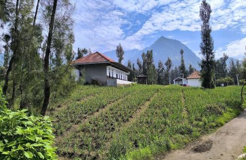 Ngadisari Hotel | Elen Villa by ABM
