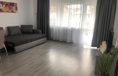 Busteni Apartment | Elena-Maria Apartments