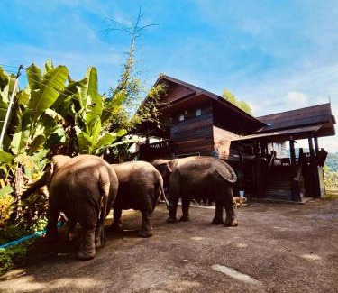 Mae Taeng House | Elephant view terrace chiang mai บ้านระเบียงชมช้าง