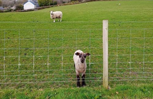 Dinas House | Elidir Cottage