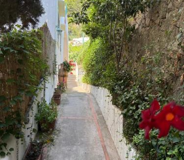 Marina Piccola Apartment | Eliza Art