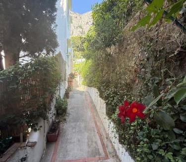 Marina Piccola Apartment | Eliza Art