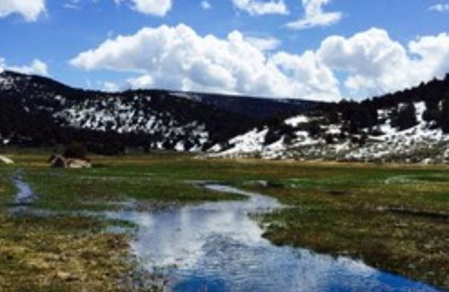 Sevier House | Elk Country