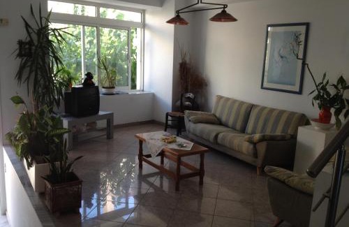 Pythagorion Apartment | Elli Studios