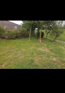 Municipality of Den Helder Other | empty spot on grass Camping The Tulip
