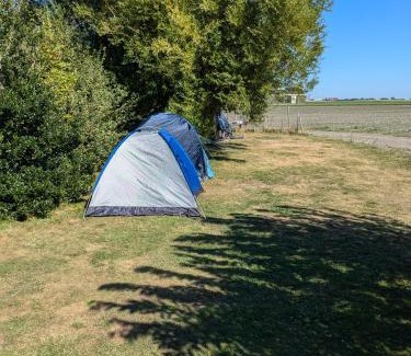 Municipality of Den Helder Other | empty spot on grass Camping The Tulip