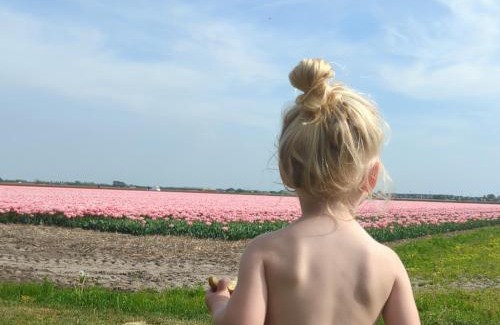 Municipality of Den Helder Other | empty spot on grass Camping The Tulip