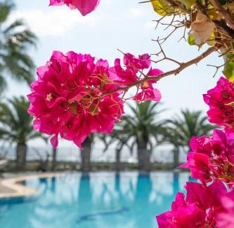 Gerakini Villa | Empyrean Villa