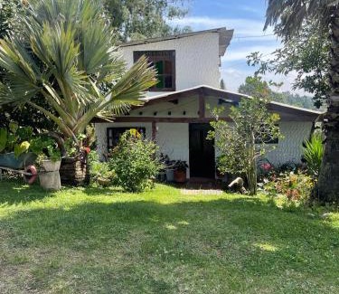 Marinilla Other | Encanto Verde