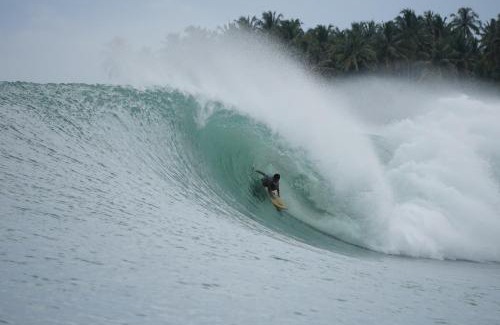 Nias Bed & Breakfast | Endi Losmen