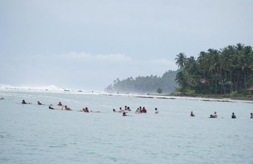 Nias Bed & Breakfast | Endi Losmen