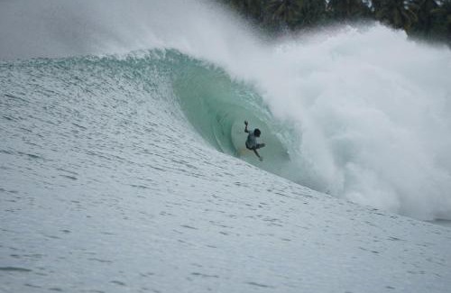 Nias Bed & Breakfast | Endi Losmen