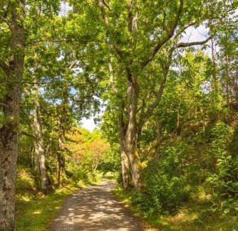 Tjome Municipality Hotel | Engø Gård Hotel & Restaurant