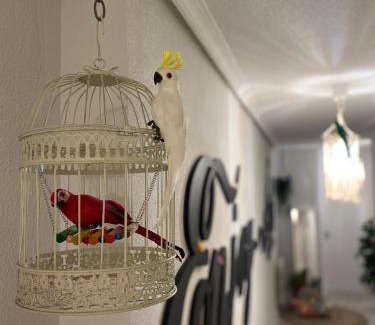 Old Town of Avila Apartment | Enjoy Ávila -LA CATEDRAL