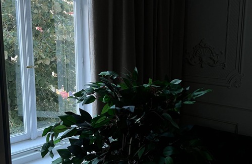 Sibiu Old Town Apartment | Enjoy a cozy & stylish studio in historical center of Sibiu