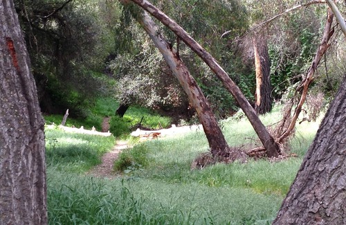 Topanga Apartment | Enjoy a spacious, artistic studio in Nature