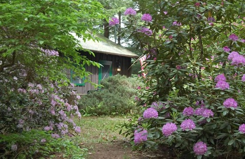 Moultonborough Cabin | Enjoy Beautiful Squam Lake From This Charming Cabin , Setting For On Golden Pond