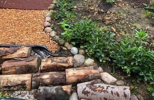 Lichterfelde Apartment | Enjoy Berlin in a relaxed way - "Free & Relaxed"