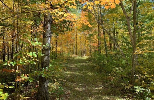 Hinckley House | Enjoy over 50 acres of Nature