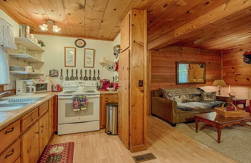 Waynesville House | Enjoy the Peaceful Setting at "Rustic Charm" w/hot tub