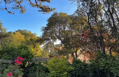Northeast Carmel House | Enjoy this artist's cottage with a large garden in Carmel-by-the-Sea.