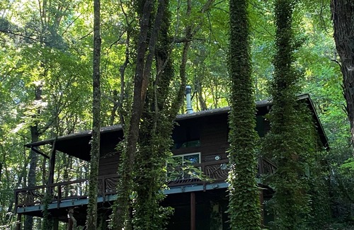 Rabun Gap Cabin | Enjoy 'Treetops' in the North Ga Mountains. Now with Wifi!