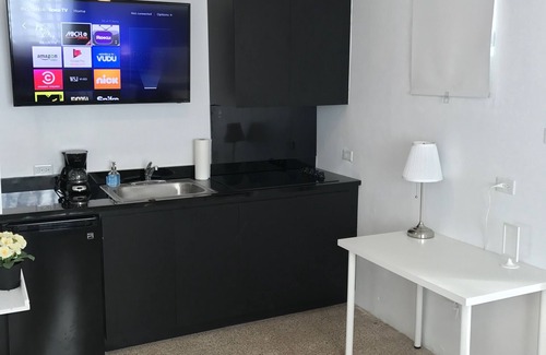 Ponce Centro Apartment | Enjoyable Studio with Private Pool/FREE WIFI - 102